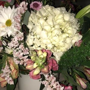 Meet your Posher, Lourdes